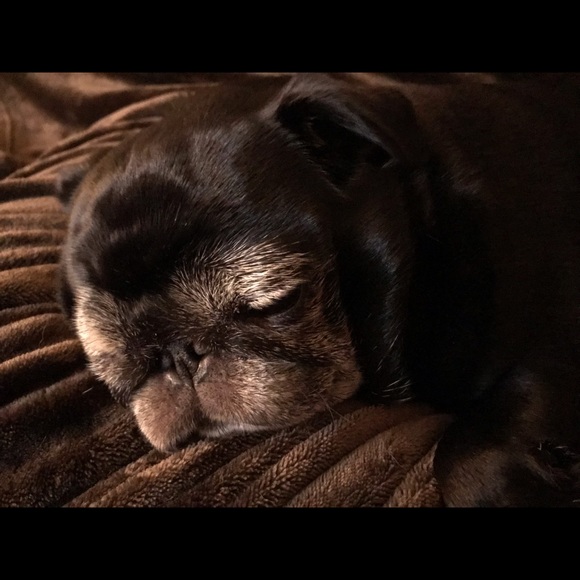 Meet your Posher, Melissa - Picture 1 of 1